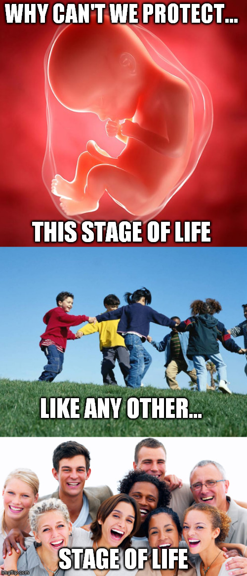all life matters | WHY CAN'T WE PROTECT... THIS STAGE OF LIFE; LIKE ANY OTHER... STAGE OF LIFE | image tagged in life | made w/ Imgflip meme maker