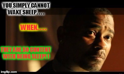 YOU SIMPLY CANNOT WAKE SHEEP. . . . WHEN. . . . THEY ARE SO CONTENT WITH BEING SLEEP! ! | image tagged in sheep | made w/ Imgflip meme maker