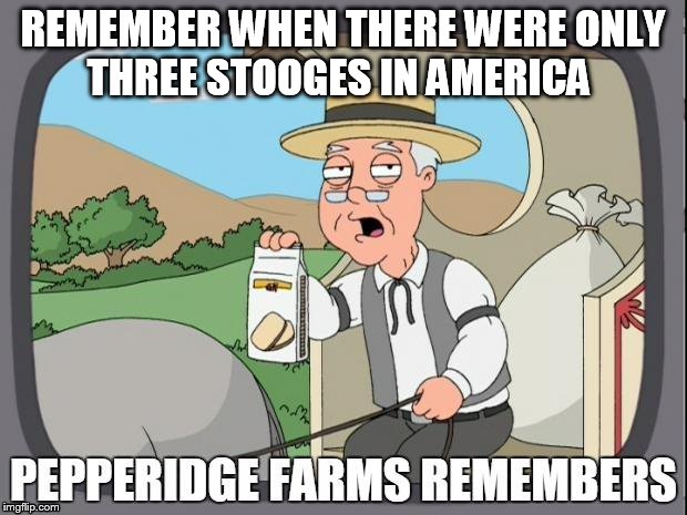 PEPPERIDGE FARMS REMEMBERS | REMEMBER WHEN THERE WERE ONLY THREE STOOGES IN AMERICA | image tagged in pepperidge farms remembers | made w/ Imgflip meme maker