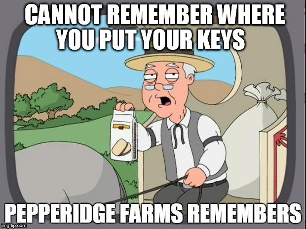 PEPPERIDGE FARMS REMEMBERS | CANNOT REMEMBER WHERE YOU PUT YOUR KEYS | image tagged in pepperidge farms remembers | made w/ Imgflip meme maker