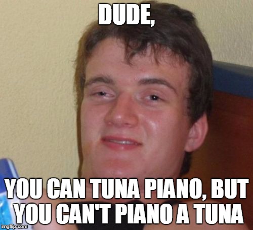 10 Guy Meme | DUDE, YOU CAN TUNA PIANO, BUT YOU CAN'T PIANO A TUNA | image tagged in memes,10 guy | made w/ Imgflip meme maker