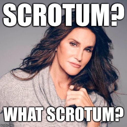 Bruce | SCROTUM? WHAT SCROTUM? | image tagged in bruce | made w/ Imgflip meme maker