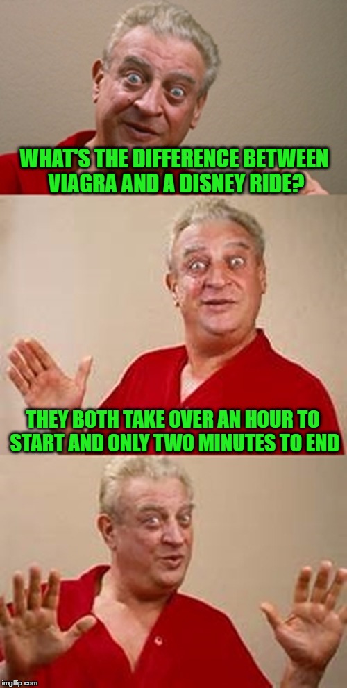 bad pun Dangerfield  | WHAT'S THE DIFFERENCE BETWEEN VIAGRA AND A DISNEY RIDE? THEY BOTH TAKE OVER AN HOUR TO START AND ONLY TWO MINUTES TO END | image tagged in bad pun dangerfield | made w/ Imgflip meme maker