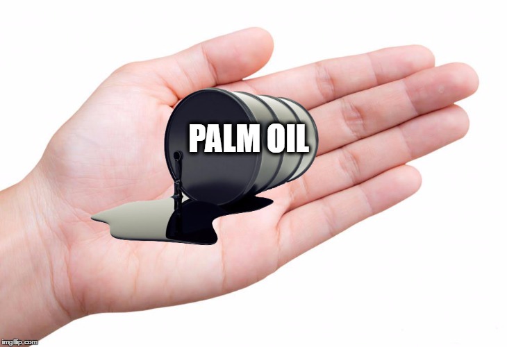 PALM OIL | image tagged in palm oil | made w/ Imgflip meme maker
