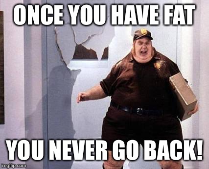 Fat Bastard | ONCE YOU HAVE FAT; YOU NEVER GO BACK! | image tagged in fat bastard | made w/ Imgflip meme maker