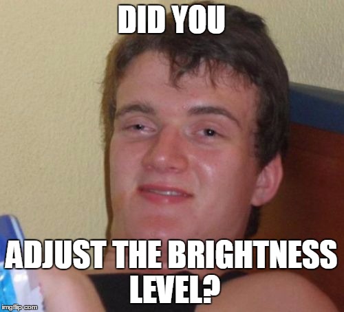 10 Guy Meme | DID YOU ADJUST THE BRIGHTNESS LEVEL? | image tagged in memes,10 guy | made w/ Imgflip meme maker