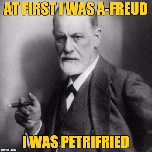 AT FIRST I WAS A-FREUD I WAS PETRIFRIED | made w/ Imgflip meme maker