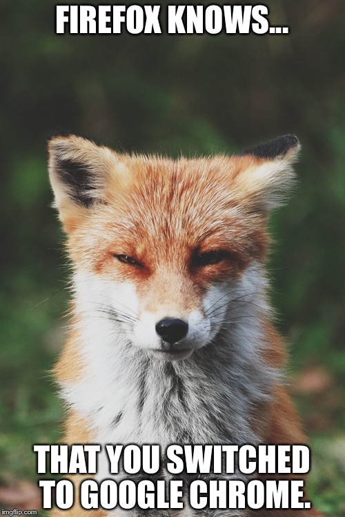 Fox staring | FIREFOX KNOWS... THAT YOU SWITCHED TO GOOGLE CHROME. | image tagged in fox staring | made w/ Imgflip meme maker
