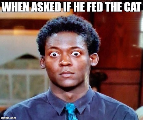 Big Eyes | WHEN ASKED IF HE FED THE CAT | image tagged in big eyes | made w/ Imgflip meme maker