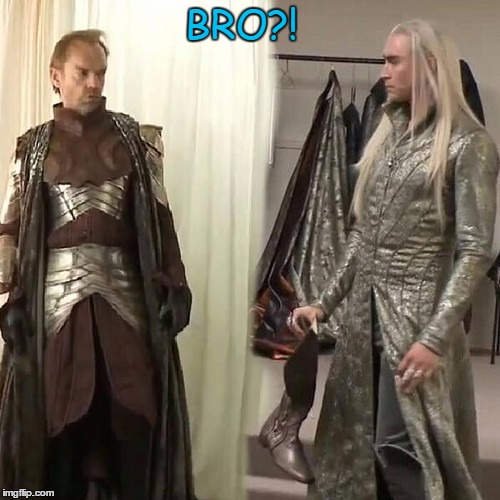 Bad Hair Day! | BRO?! | image tagged in thranduil and elrond,elrond and thranduil,elrond memes,thranduil memes | made w/ Imgflip meme maker