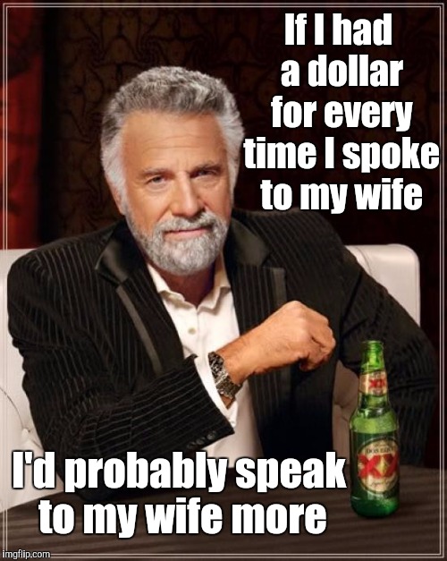 The Most Interesting Man In The World | If I had a dollar for every time I spoke to my wife; I'd probably speak to my wife more | image tagged in memes,the most interesting man in the world | made w/ Imgflip meme maker