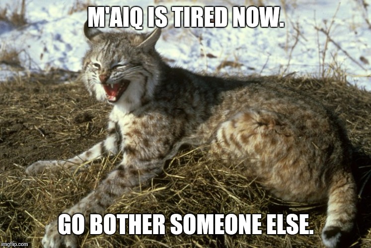 Khajiit has no words for you. | M'AIQ IS TIRED NOW. GO BOTHER SOMEONE ELSE. | image tagged in elder scrolls,memes | made w/ Imgflip meme maker