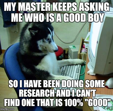 I Have No Idea What I Am Doing | MY MASTER KEEPS ASKING ME WHO IS A GOOD BOY; SO I HAVE BEEN DOING SOME RESEARCH AND I CAN'T FIND ONE THAT IS 100% "GOOD" | image tagged in memes,i have no idea what i am doing | made w/ Imgflip meme maker