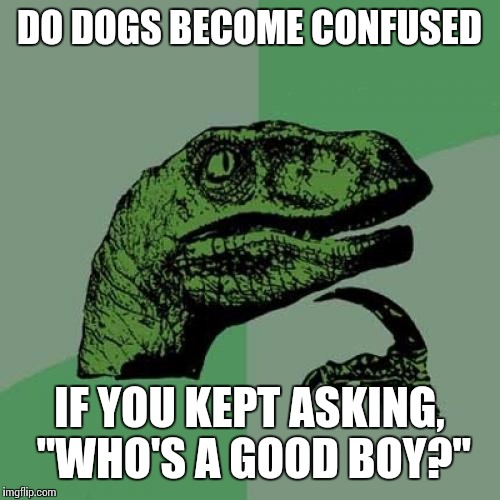 Philosoraptor | DO DOGS BECOME CONFUSED; IF YOU KEPT ASKING, "WHO'S A GOOD BOY?" | image tagged in memes,philosoraptor | made w/ Imgflip meme maker