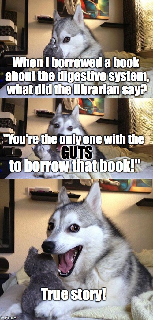 Bad Pun Dog Meme | When I borrowed a book about the digestive system, what did the librarian say? "You're the only one with the; GUTS; to borrow that book!"; True story! | image tagged in memes,bad pun dog | made w/ Imgflip meme maker