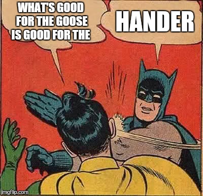 Batman Slapping Robin | WHAT'S GOOD FOR THE GOOSE IS GOOD FOR THE; HANDER | image tagged in memes,batman slapping robin | made w/ Imgflip meme maker