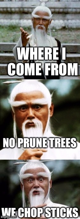 Bad Pun Chinese Man | WHERE I COME FROM; NO PRUNE TREES; WE CHOP STICKS | image tagged in bad pun chinese man | made w/ Imgflip meme maker
