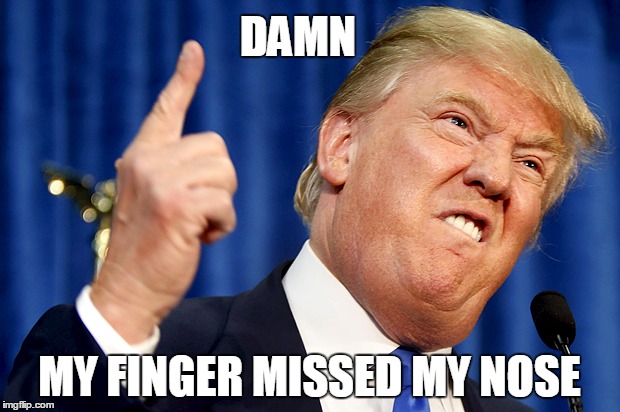 Donald Trump | DAMN; MY FINGER MISSED MY NOSE | image tagged in donald trump | made w/ Imgflip meme maker