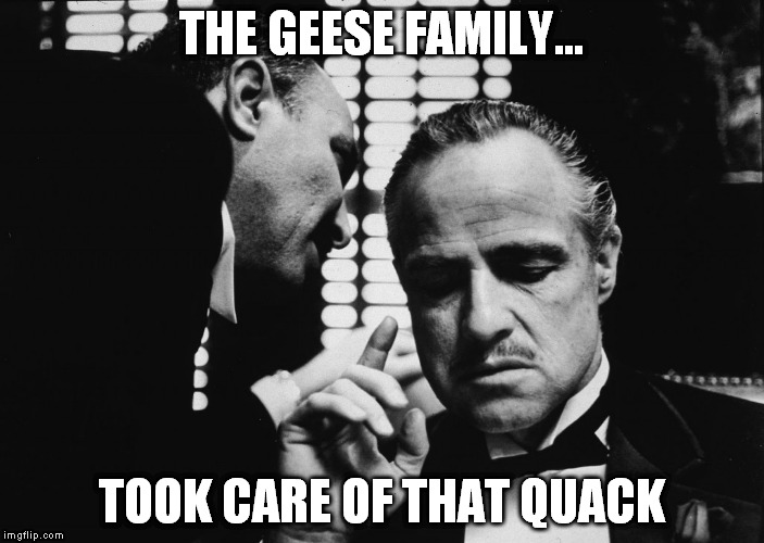 THE GEESE FAMILY... TOOK CARE OF THAT QUACK | made w/ Imgflip meme maker