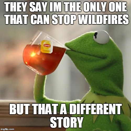 But That's None Of My Business Meme | THEY SAY IM THE ONLY ONE THAT CAN STOP WILDFIRES; BUT THAT A DIFFERENT STORY | image tagged in memes,but thats none of my business,kermit the frog | made w/ Imgflip meme maker