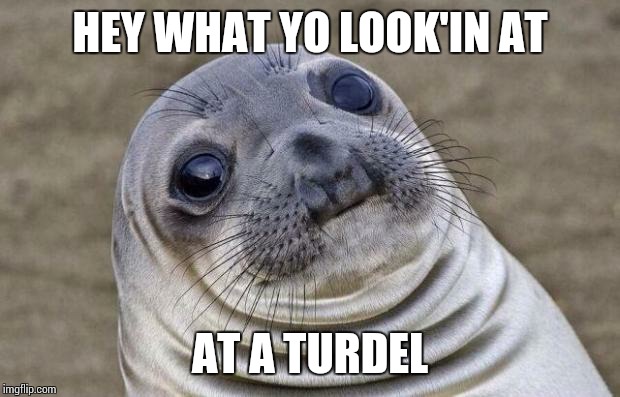 Awkward Moment Sealion | HEY WHAT YO LOOK'IN AT; AT A TURDEL | image tagged in memes,awkward moment sealion | made w/ Imgflip meme maker