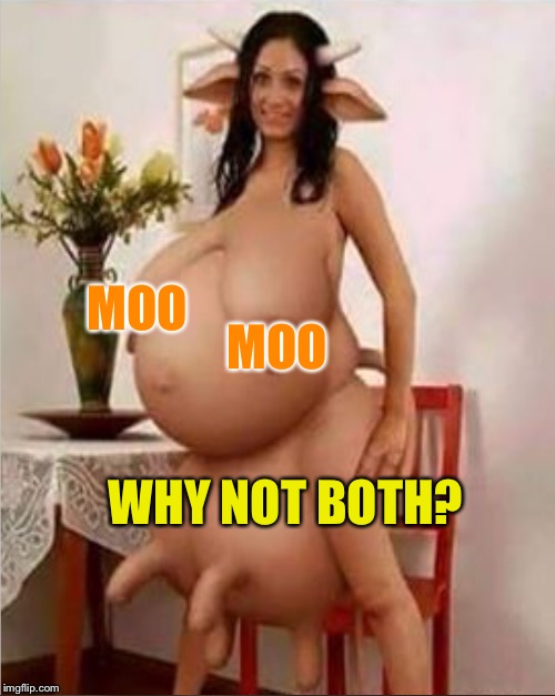 MOO WHY NOT BOTH? MOO | made w/ Imgflip meme maker