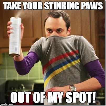air freshener sheldon cooper | TAKE YOUR STINKING PAWS; OUT OF MY SPOT! | image tagged in air freshener sheldon cooper | made w/ Imgflip meme maker