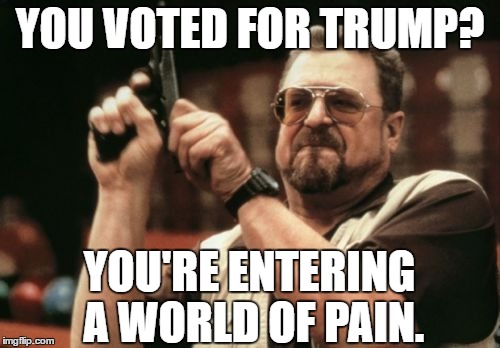 Walter on Trump | YOU VOTED FOR TRUMP? YOU'RE ENTERING A WORLD OF PAIN. | image tagged in memes,am i the only one around here | made w/ Imgflip meme maker