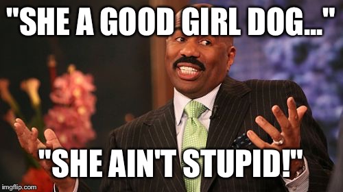 "SHE A GOOD GIRL DOG..."; "SHE AIN'T STUPID!" | image tagged in memes,steve harvey | made w/ Imgflip meme maker