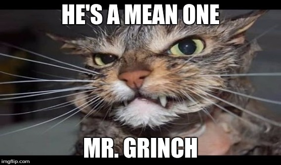 GRINCH | HE'S A MEAN ONE; MR. GRINCH | image tagged in funny cats | made w/ Imgflip meme maker