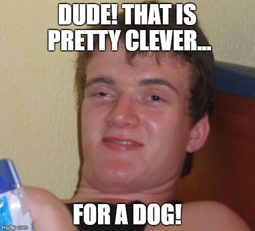 10 Guy Meme | DUDE! THAT IS PRETTY CLEVER... FOR A DOG! | image tagged in memes,10 guy | made w/ Imgflip meme maker