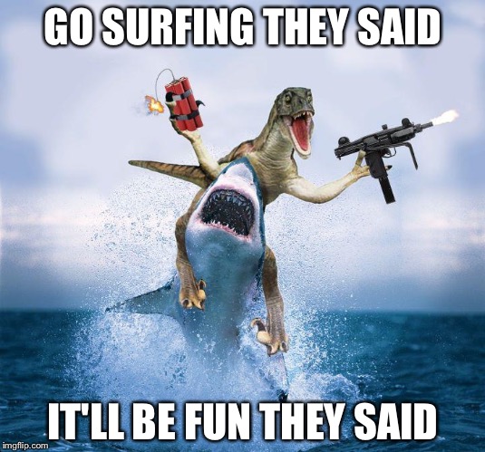 Raptor Riding Shark |  GO SURFING THEY SAID; IT'LL BE FUN THEY SAID | image tagged in raptor riding shark | made w/ Imgflip meme maker