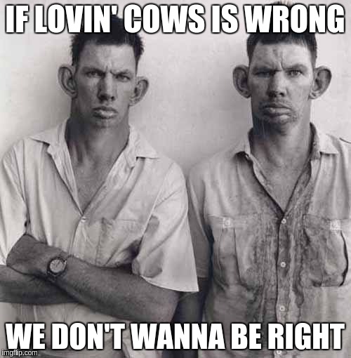 What are you talking about | IF LOVIN' COWS IS WRONG; WE DON'T WANNA BE RIGHT | image tagged in what are you talking about | made w/ Imgflip meme maker
