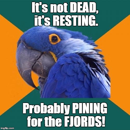 Not paranoid, but DEAD | It's not DEAD, it's RESTING. Probably PINING for the FJORDS! | image tagged in memes,paranoid parrot,dead parrot,monty python | made w/ Imgflip meme maker