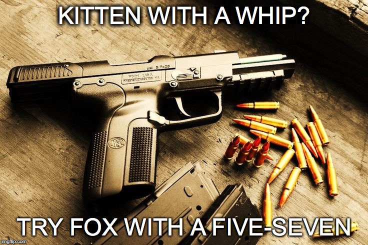 SO SEXY... | KITTEN WITH A WHIP? TRY FOX WITH A FIVE-SEVEN | image tagged in 57,fn herstal,kitten with a whip,fox with a five-seven | made w/ Imgflip meme maker