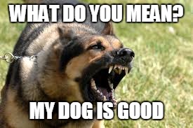 WHAT DO YOU MEAN? MY DOG IS GOOD | made w/ Imgflip meme maker