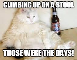 CLIMBING UP ON A STOOL THOSE WERE THE DAYS! | made w/ Imgflip meme maker