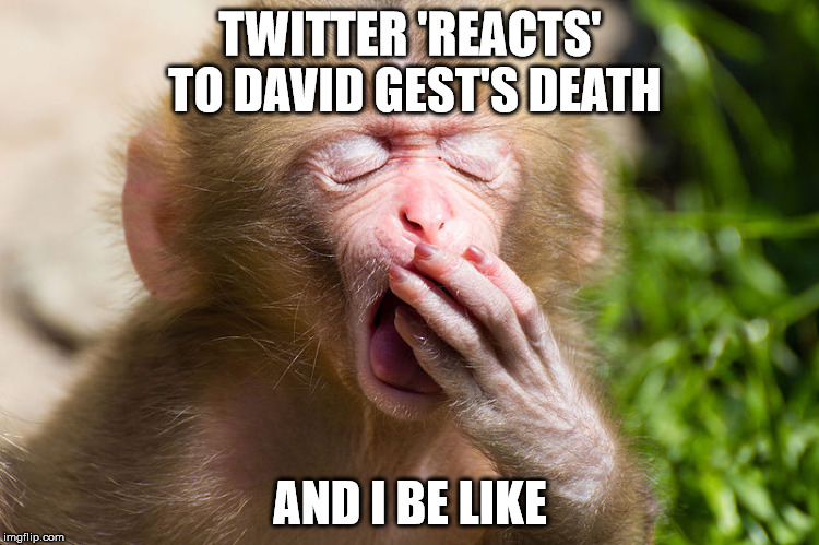 Twitter 'reacts' to David Gest's death | TWITTER 'REACTS' TO DAVID GEST'S DEATH; AND I BE LIKE | image tagged in david gest twitter reacts tired yawn | made w/ Imgflip meme maker