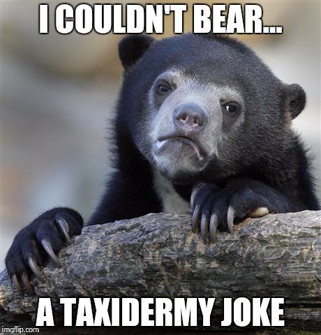 Confession Bear Meme | I COULDN'T BEAR... A TAXIDERMY JOKE | image tagged in memes,confession bear | made w/ Imgflip meme maker