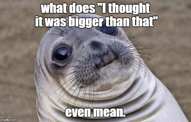 Awkward Moment Sealion Meme | what does "I thought it was bigger than that"; even mean. | image tagged in memes,awkward moment sealion | made w/ Imgflip meme maker