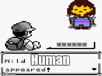 pokemon appears | Human | image tagged in pokemon appears | made w/ Imgflip meme maker