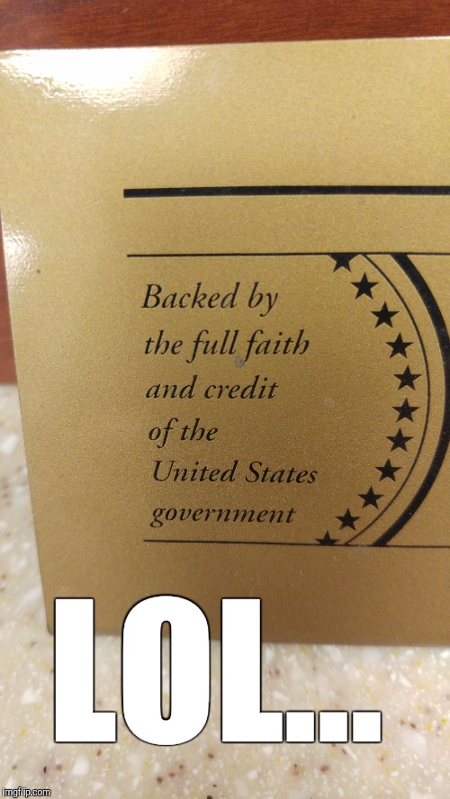 How can they still have credit?  | LOL... | image tagged in scumbag,government,banks,robbery | made w/ Imgflip meme maker