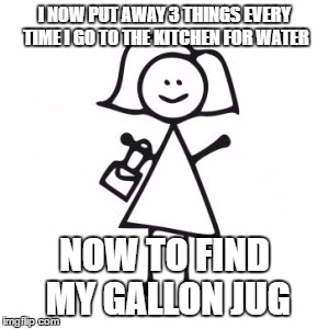 stick woman | I NOW PUT AWAY 3 THINGS EVERY TIME I GO TO THE KITCHEN FOR WATER; NOW TO FIND MY GALLON JUG | image tagged in stick woman | made w/ Imgflip meme maker