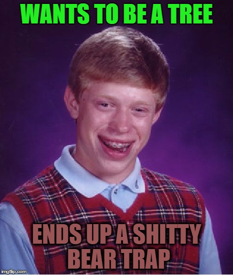 Bad Luck Brian Meme | WANTS TO BE A TREE ENDS UP A SHITTY BEAR TRAP | image tagged in memes,bad luck brian | made w/ Imgflip meme maker