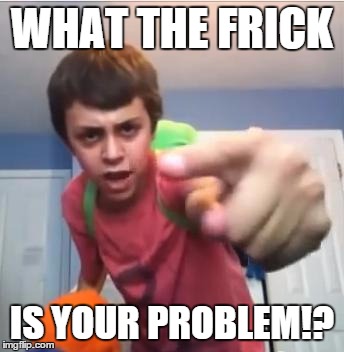 SammyClassicSonicFan | WHAT THE FRICK; IS YOUR PROBLEM!? | image tagged in what the frick,funny,meme | made w/ Imgflip meme maker