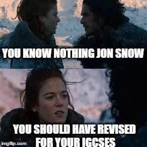 jon snow | YOU KNOW NOTHING JON SNOW; YOU SHOULD HAVE REVISED FOR YOUR IGCSES | image tagged in jon snow | made w/ Imgflip meme maker