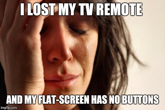 Whoever decided this was how to make TVs now, is an idiot. | I LOST MY TV REMOTE; AND MY FLAT-SCREEN HAS NO BUTTONS | image tagged in memes,first world problems | made w/ Imgflip meme maker