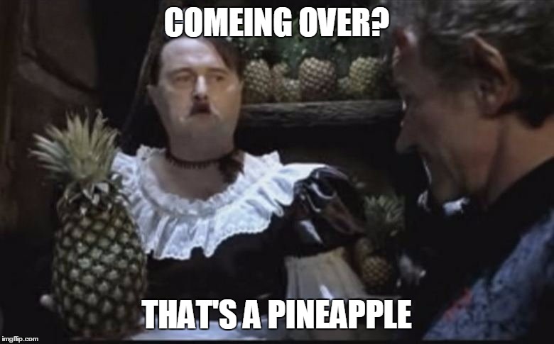Hitler Pineapple | COMEING OVER? THAT'S A PINEAPPLE | image tagged in hitler pineapple | made w/ Imgflip meme maker