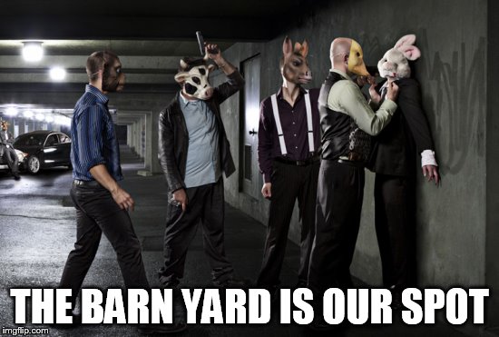 THE BARN YARD IS OUR SPOT | made w/ Imgflip meme maker