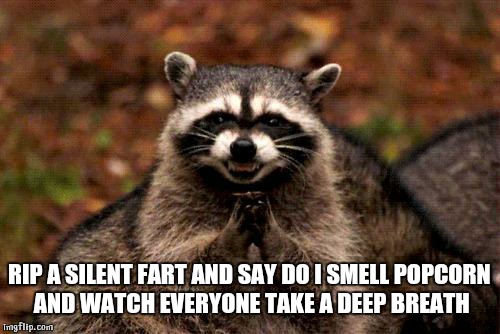 Evil Plotting Raccoon Meme | RIP A SILENT FART AND SAY DO I SMELL POPCORN AND WATCH EVERYONE TAKE A DEEP BREATH | image tagged in memes,evil plotting raccoon | made w/ Imgflip meme maker